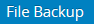 FileBackupModule